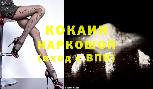 шишки Арсеньев