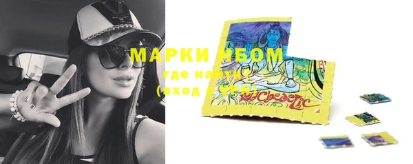 шишки Арсеньев