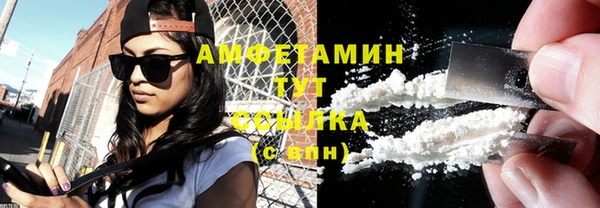 шишки Арсеньев