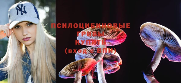 шишки Арсеньев