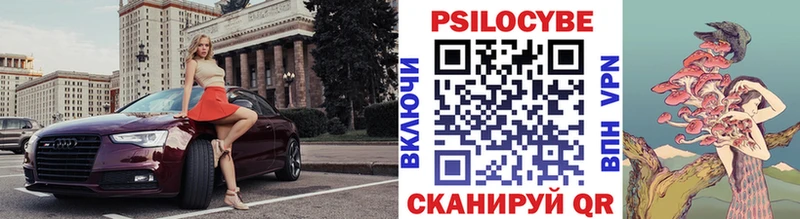 продажа наркотиков  Россошь  Псилоцибиновые грибы Psilocybine cubensis 